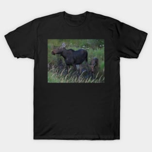 Moose Cow and her Calf T-Shirt